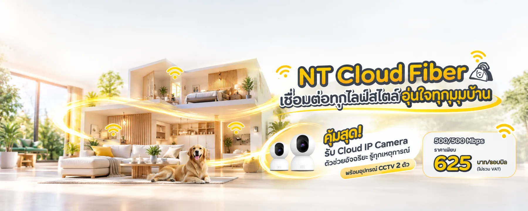 NT Cloud Fiber